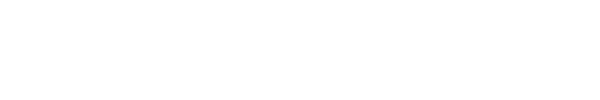 データマネジメント専門組織(DMO)