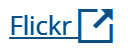 flickr logo