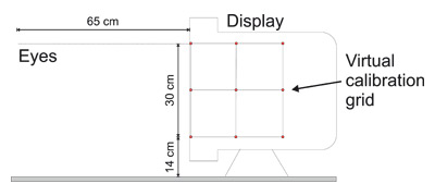 Sketch of the set-up: the virtual space fits exactly inside a cube of 30 cm located behind the plane of projection.