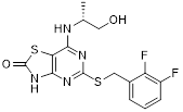 Theranostics inline graphic