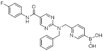 Theranostics inline graphic