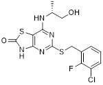 Theranostics inline graphic