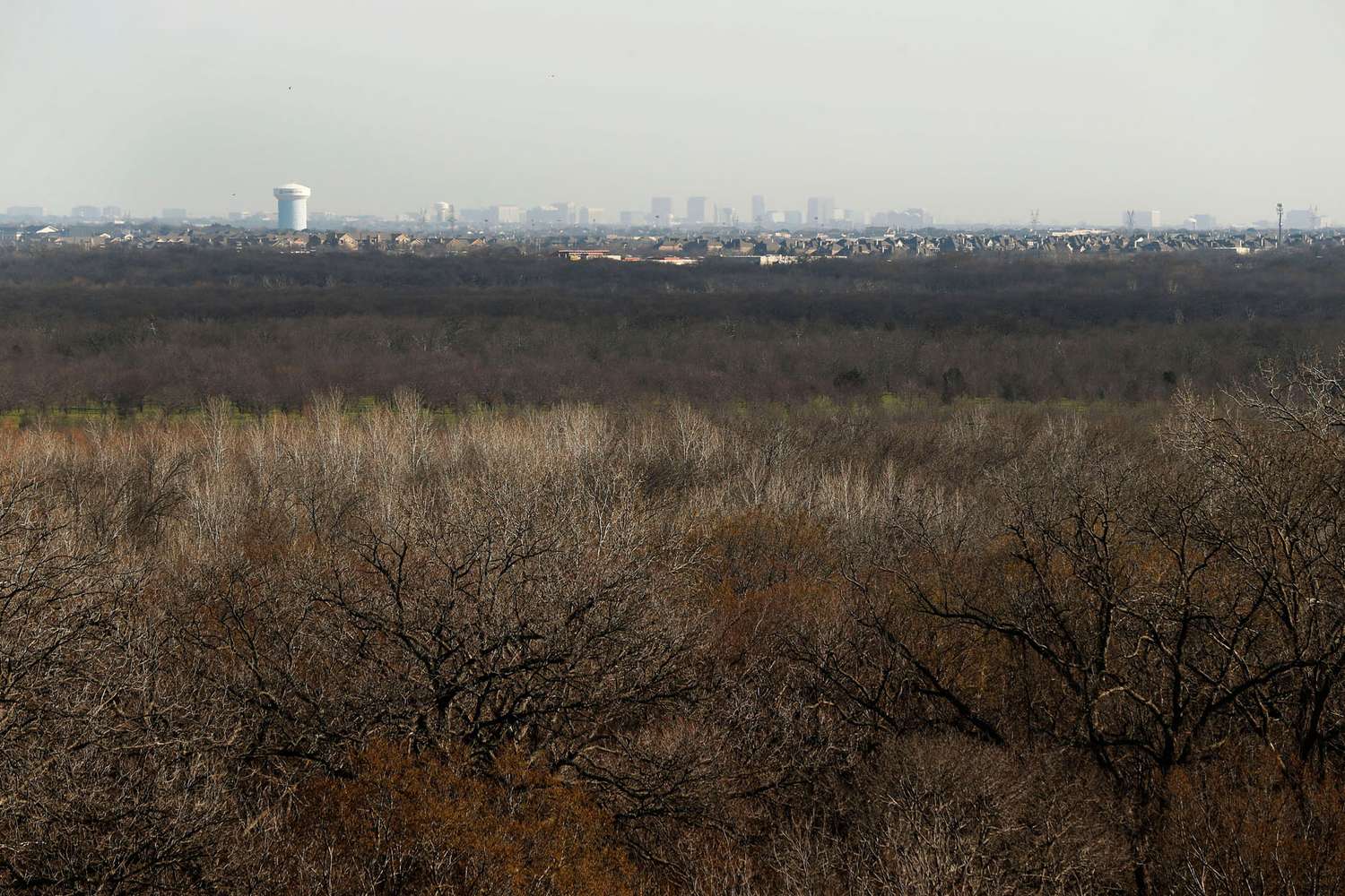 If the Lewisville Dam were to break, a 65-foot-tall flood wave would sweep through the brush to the homes and buildings beyond, swamping LBJ Freeway, the Bush Turnpike, Interstate 35E, Love Field, the Hospital District, senior centers and schools. Downtown Dallas would be submerged in 50 feet of water, the Corps of Engineers estimates.