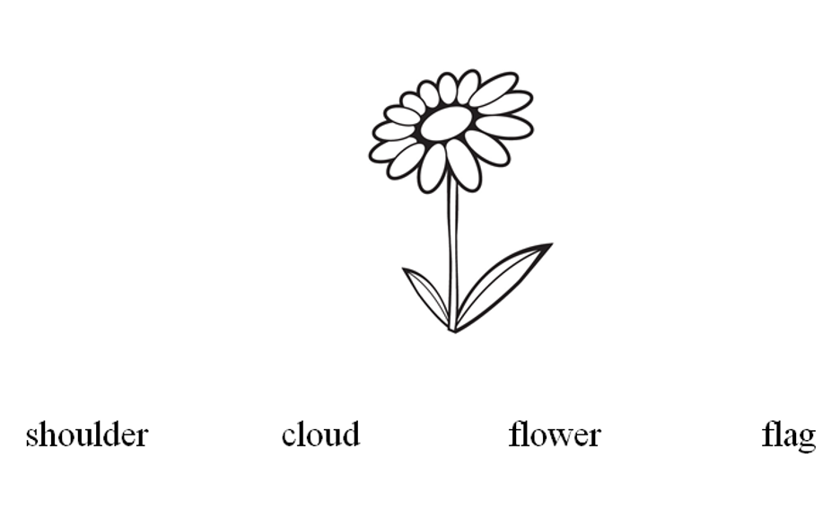 Illustration of a line drawn flower. The flower resembles a daisy with fourteen petals on a stem with two leaves.