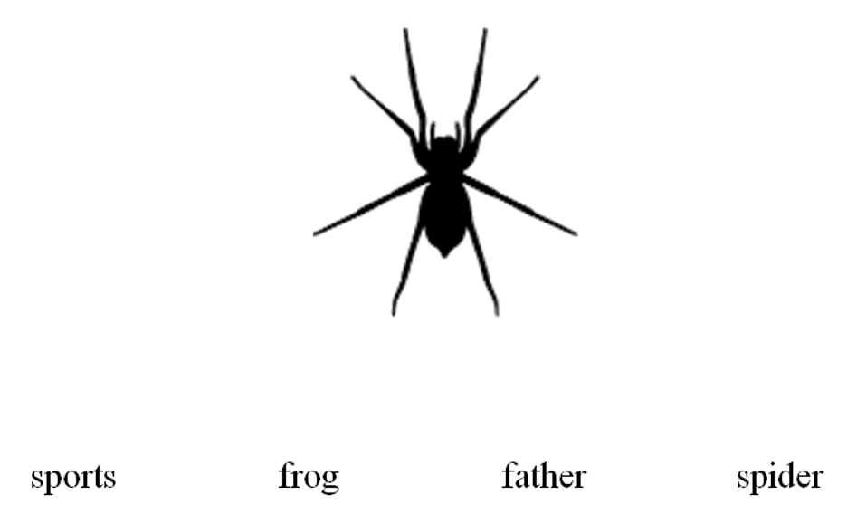 Illustration of a spider. All eight legs are spread out, and the spider has two fangs pointing to the top of the screen.