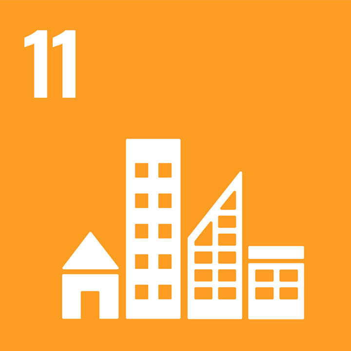 SDG11