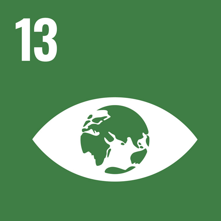 SDG13