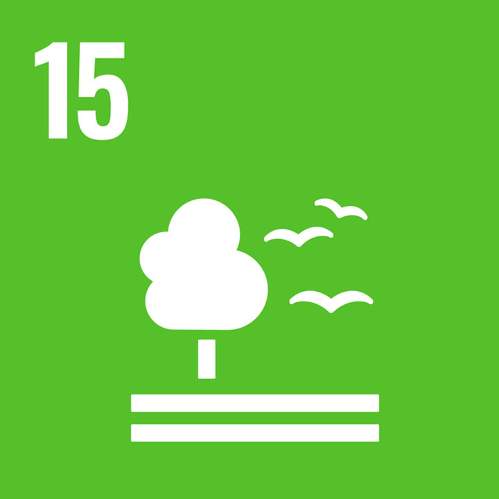 SDG15