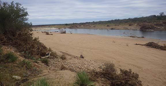 river view with red sand bank