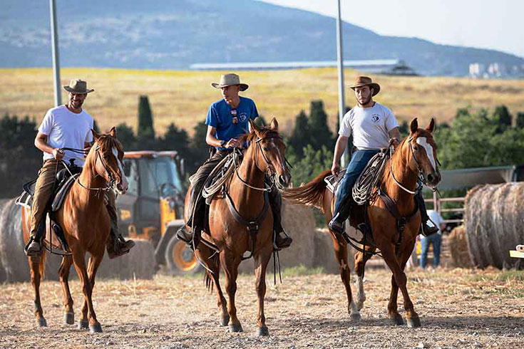 Three people herd cattle on horseback.