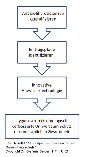 Flussdiagramm, das die Stufen des Projekts zeigt