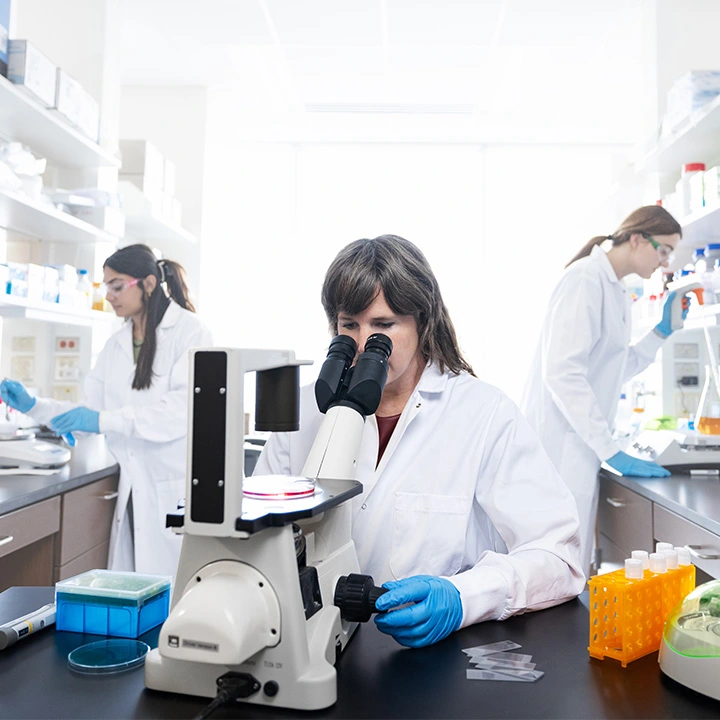 A researcher looks through a microscope in her lab.