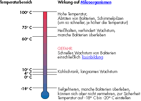 Das Bild zeigt ein Thermometer und die einzelne Wirkung auf Mikoorganismen bei einer bestimmten Temperatur: 75–100 °C: Hohe Temperatur, Abtöten von Bakterien, Schimmelpilzen (um so schneller, je höher die Temperatur): 65–75°C: Heißhalten, verhindert Wachstum, manche Bakterien überleben; 10-60 °C: Gefahr: Schnelles Wachstum von Bakerien eischließlich Toxinbildung; 0–10 °C: Kühlschrank, langsames Wachstum; -18 °C: Tieffrieren, manche Bakterien überöeben, können Sich aber nicht vermehren, zur Sicherheit Temperatur auf -18 bis -20 °C einstellen