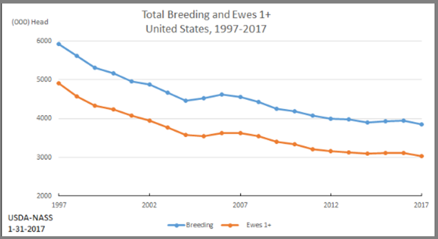 Sheep: Breeding Inventory and Ewes by Year, US