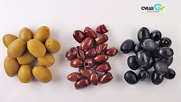 Abbildung 1: Gr�ne (links), schwarze (Mitte) und geschw�rzte Oliven (rechts).